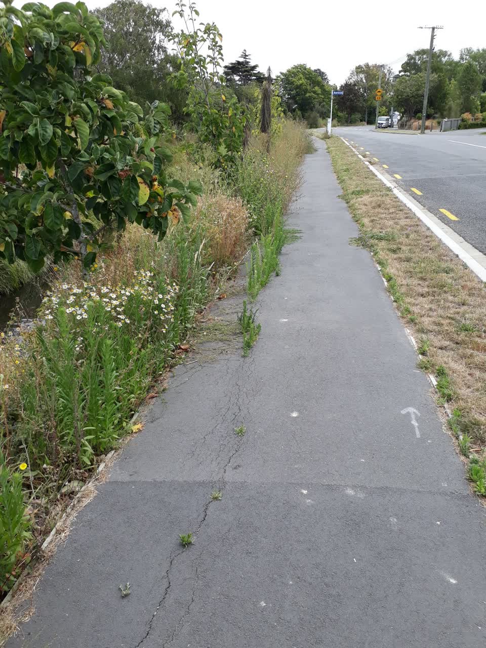The photograph attached to this parks report