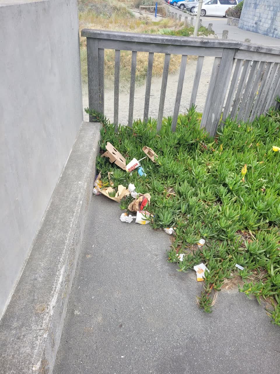 The photograph attached to this rubbish/recycling report