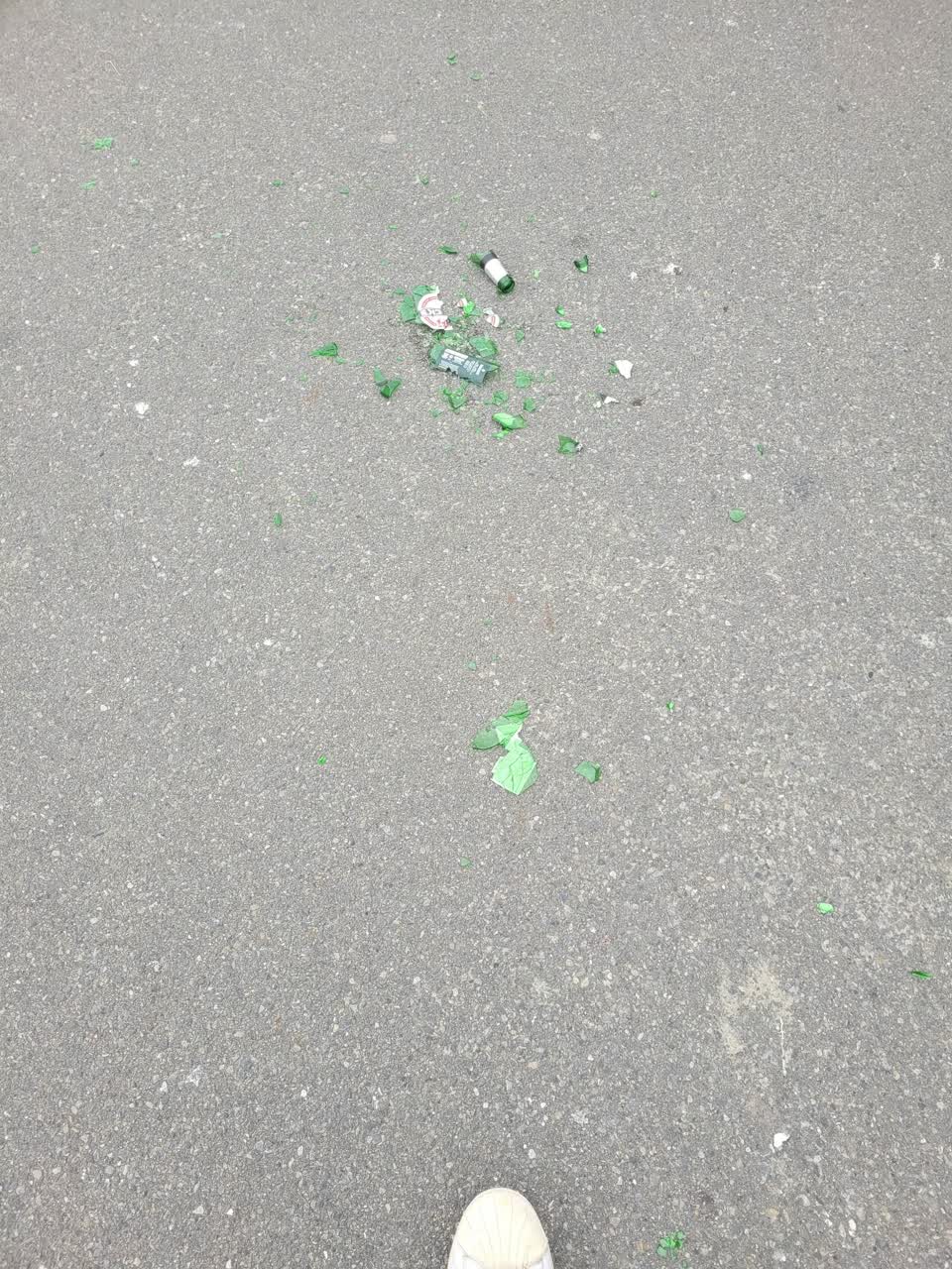 The photograph attached to this rubbish/recycling report