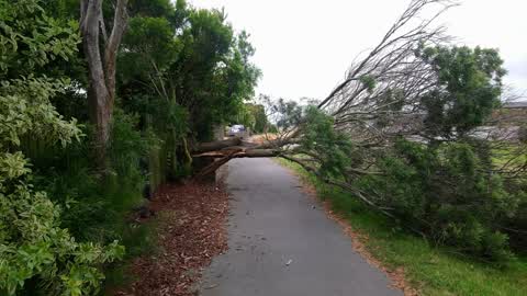 Roading/Streets, a report photo