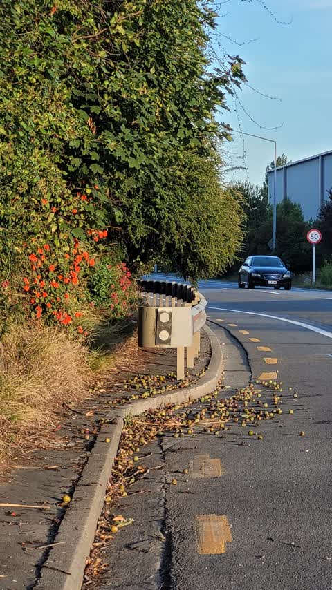 Roading/Streets, a report photo