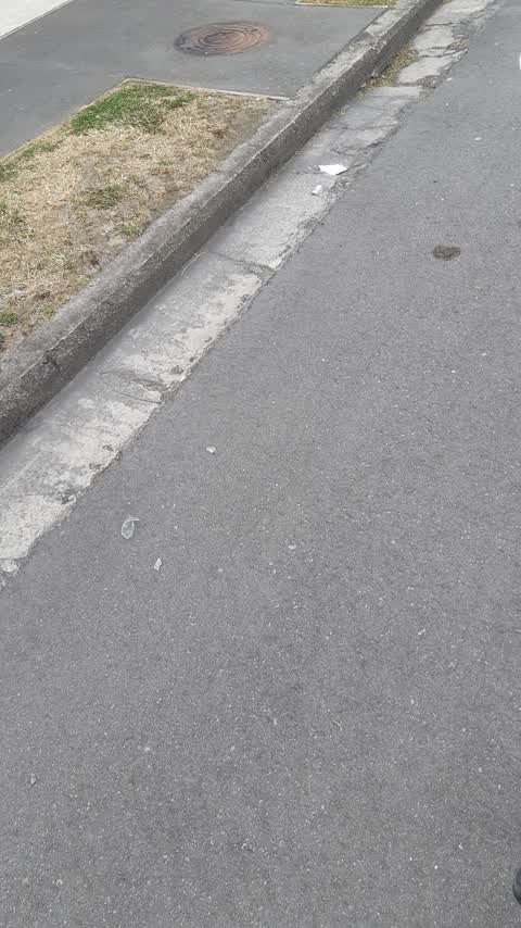 Roading/Streets, a report photo
