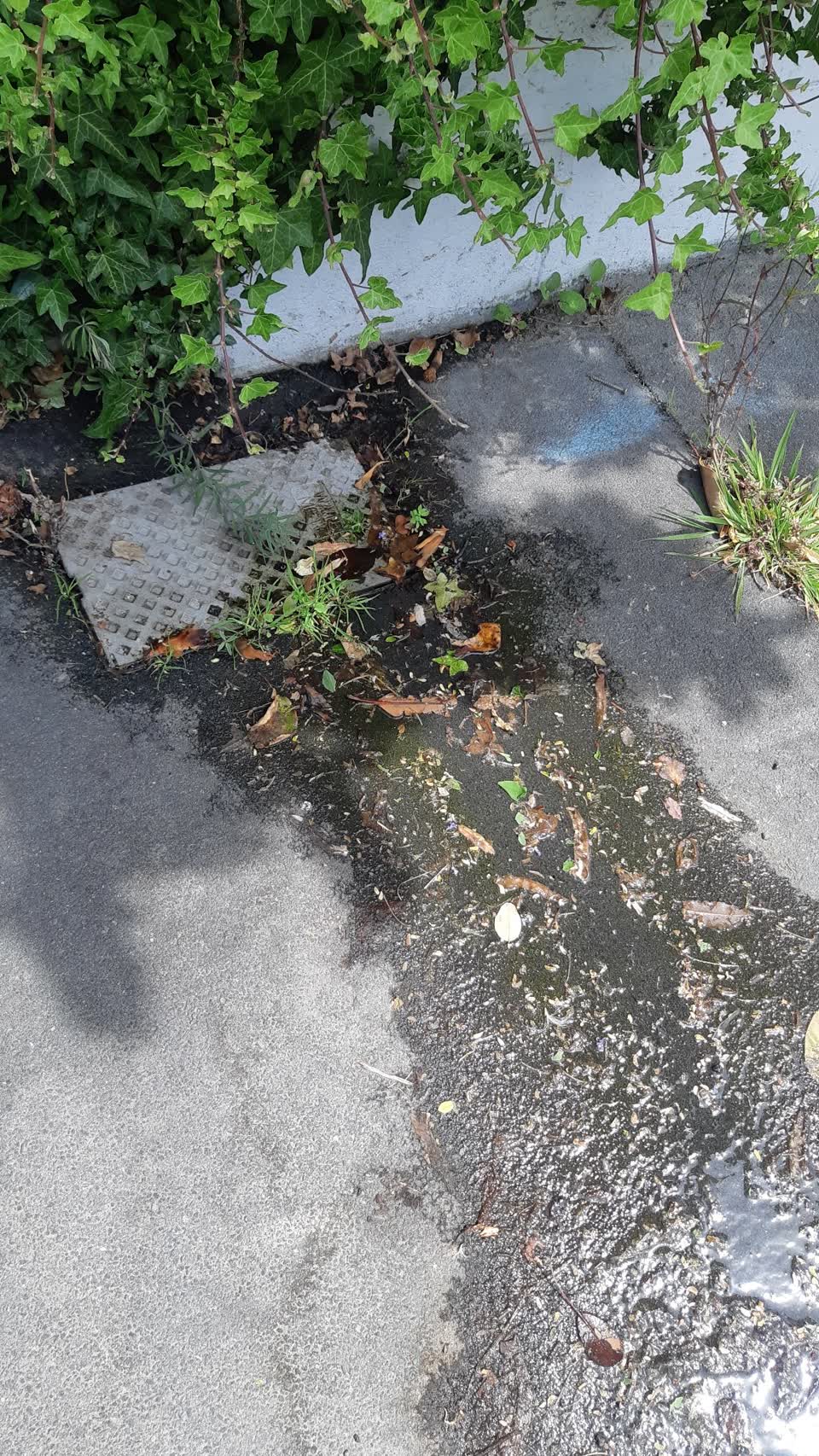 The photograph attached to this water leak report