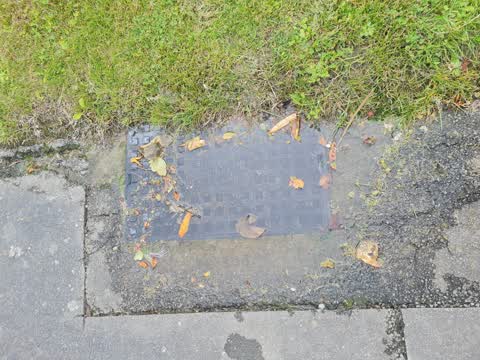 Water Leak, a report photo