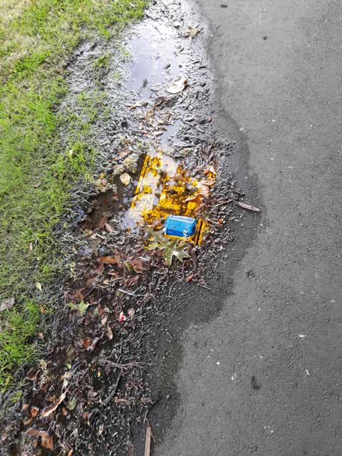 Water Leak, a report photo