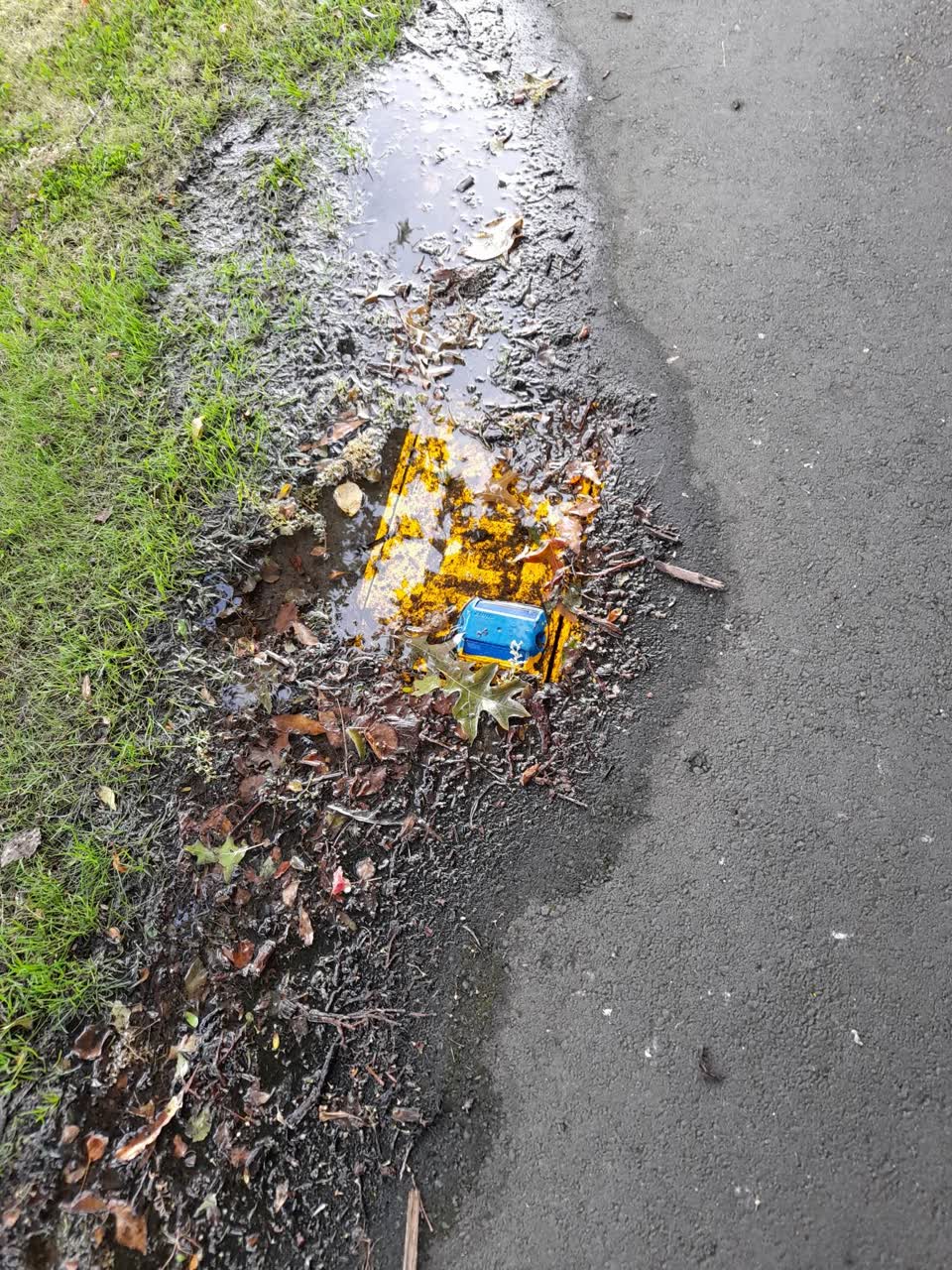 The photograph attached to this water leak report
