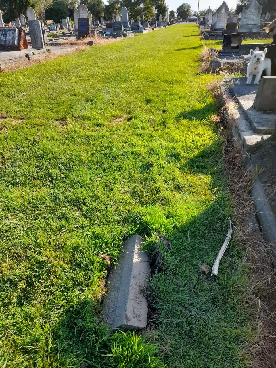 The photograph attached to this water leak report