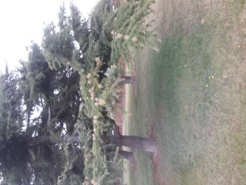 Parks, a report photo
