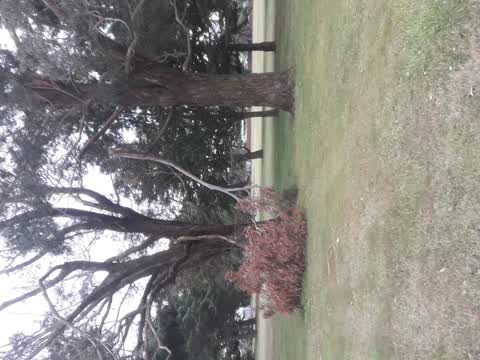 Parks, a report photo