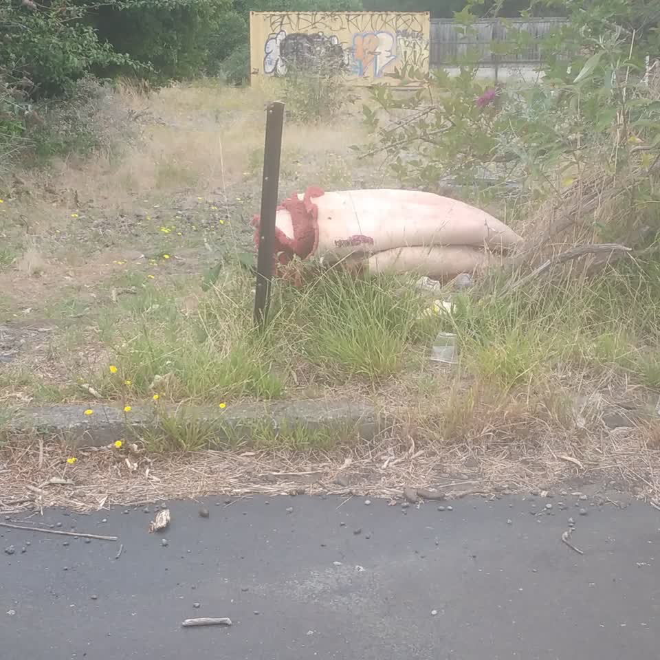 The photograph attached to this rubbish/recycling report