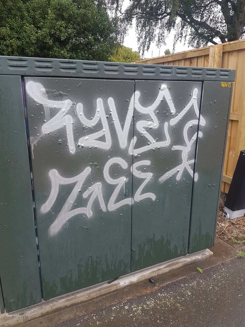 The photograph attached to this graffiti report