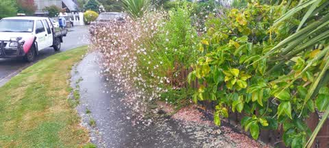 Roading/Streets, a report photo