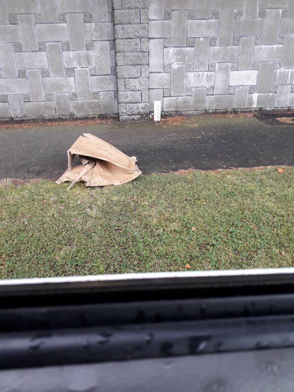 The photograph attached to this rubbish/recycling report