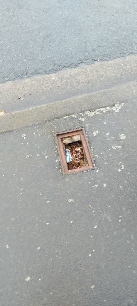 Roading/Streets, a report photo