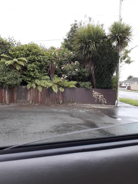 Graffiti, a report photo