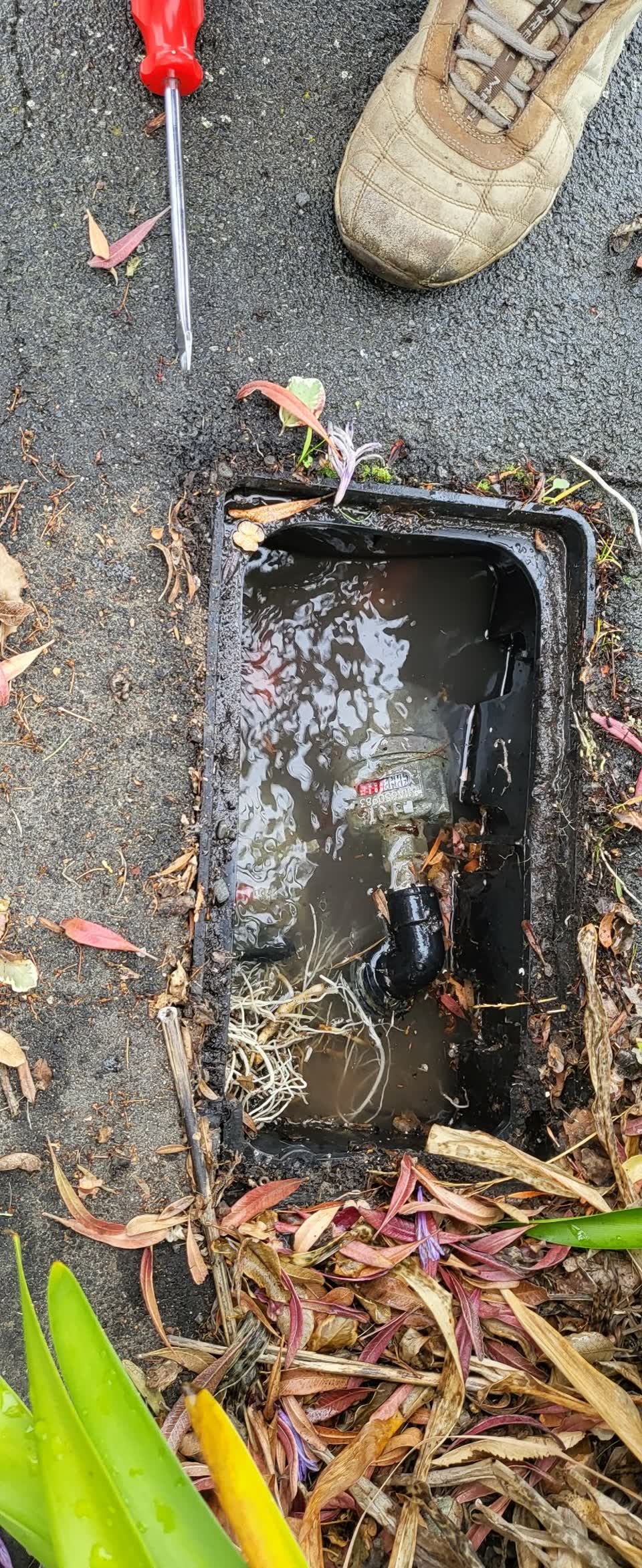 The photograph attached to this water leak report