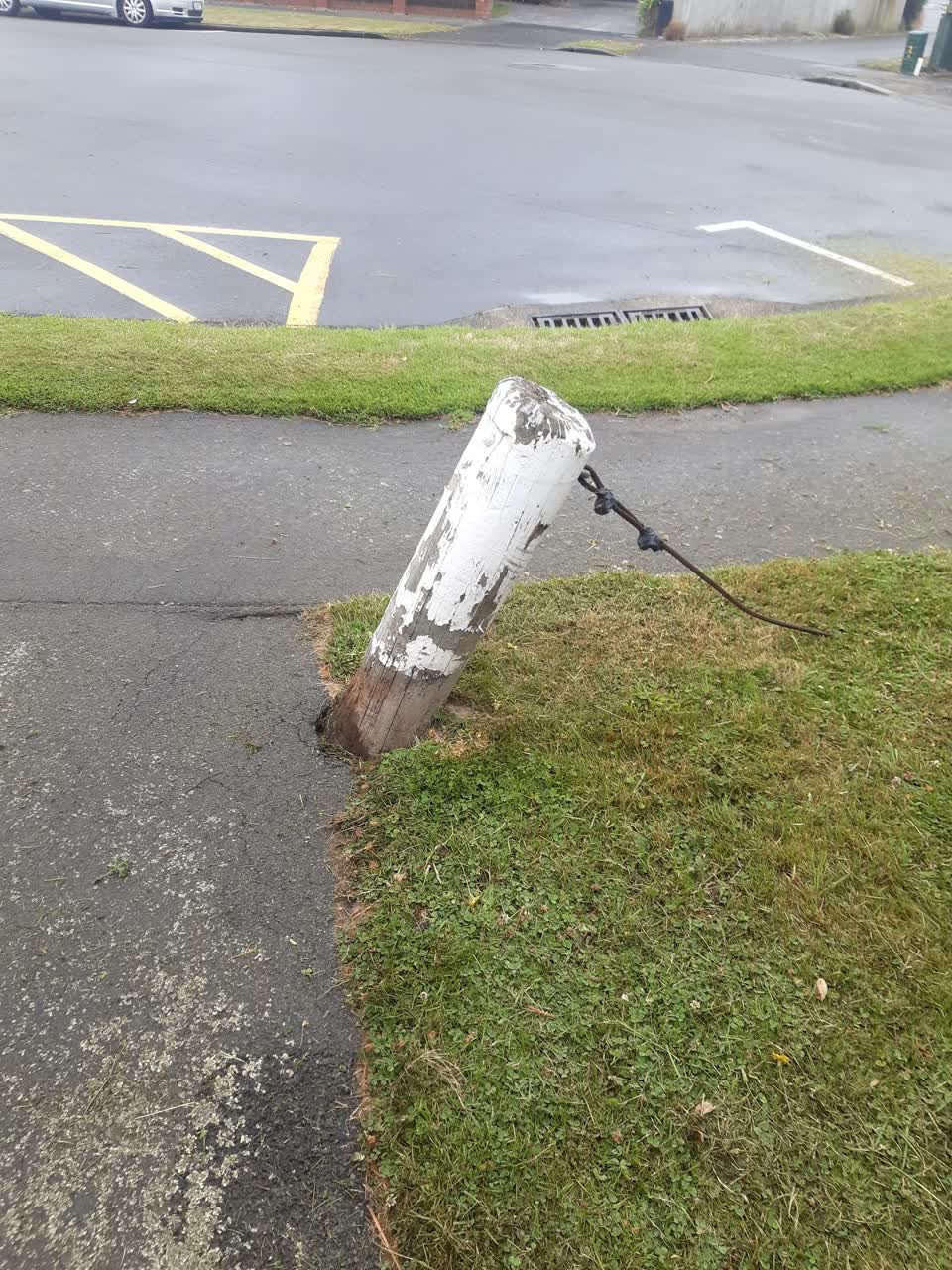 The photograph attached to this parks report