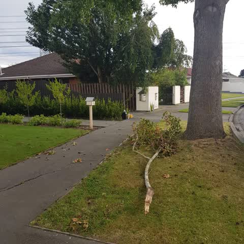 Roading/Streets, a report photo