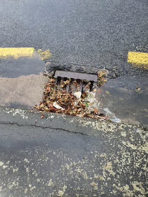 Sewer - General, a report photo