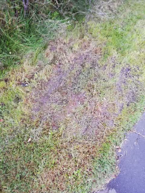 Water Leak, a report photo