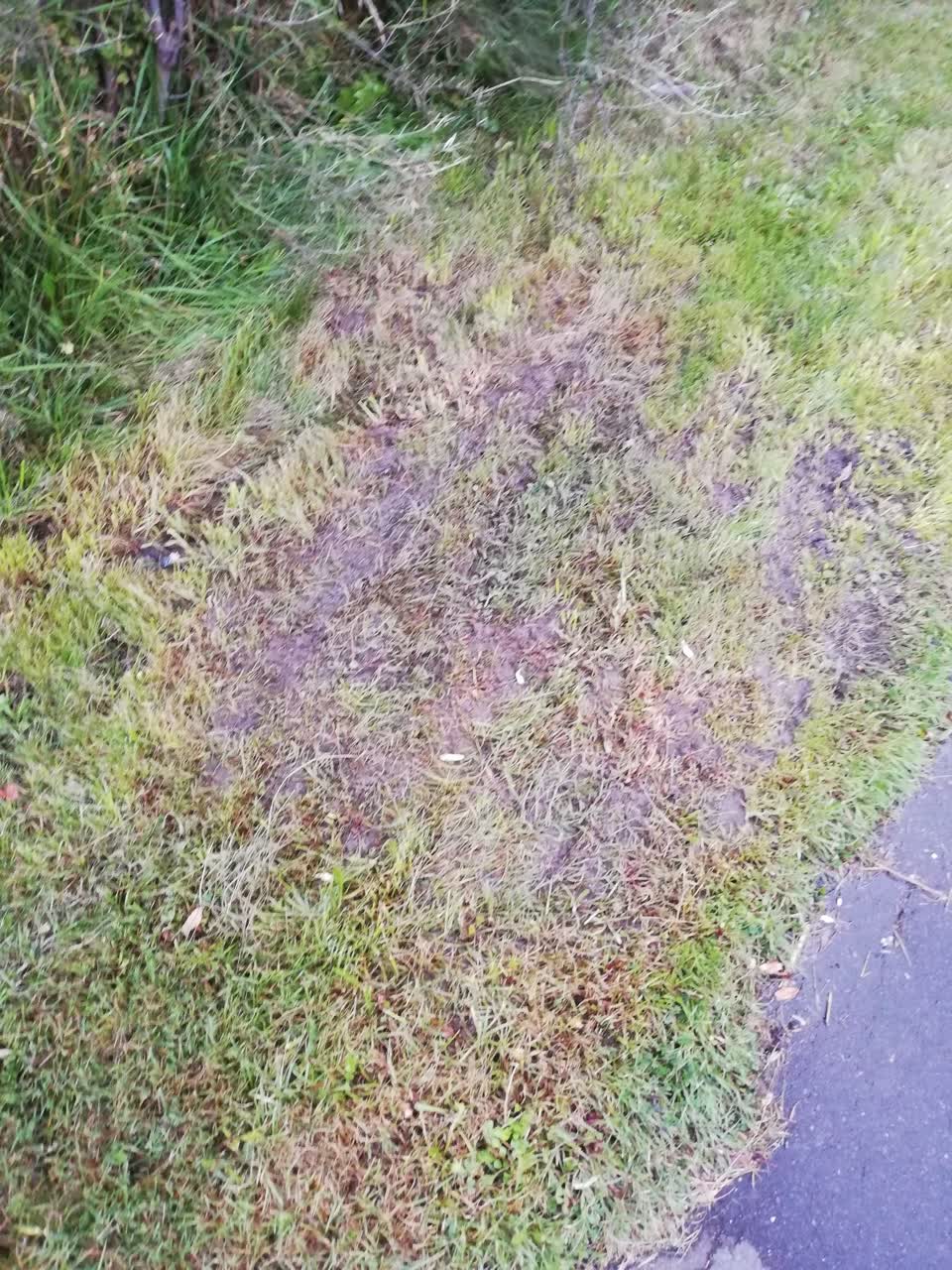 The photograph attached to this water leak report