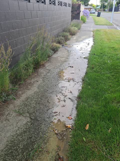 Water Leak, a report photo