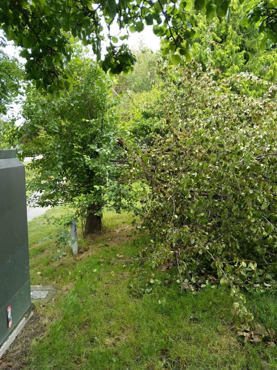 The photograph attached to this parks report