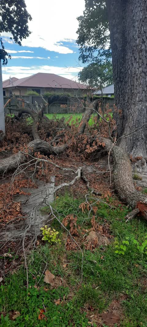 Parks, a report photo