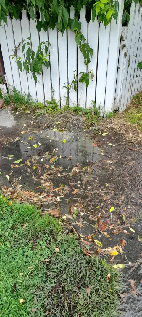 Water Leak, a report photo