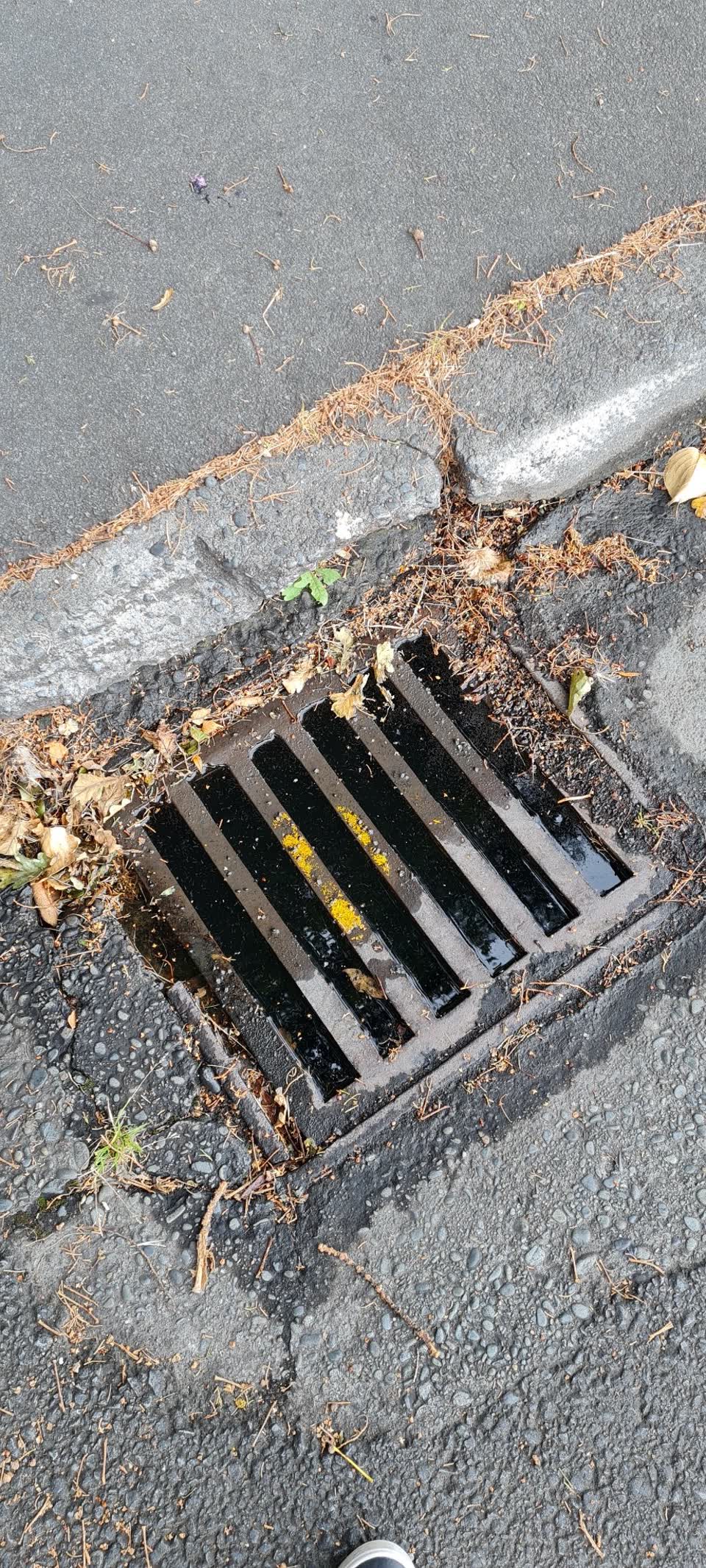 The photograph attached to this wastewater/stormwater report