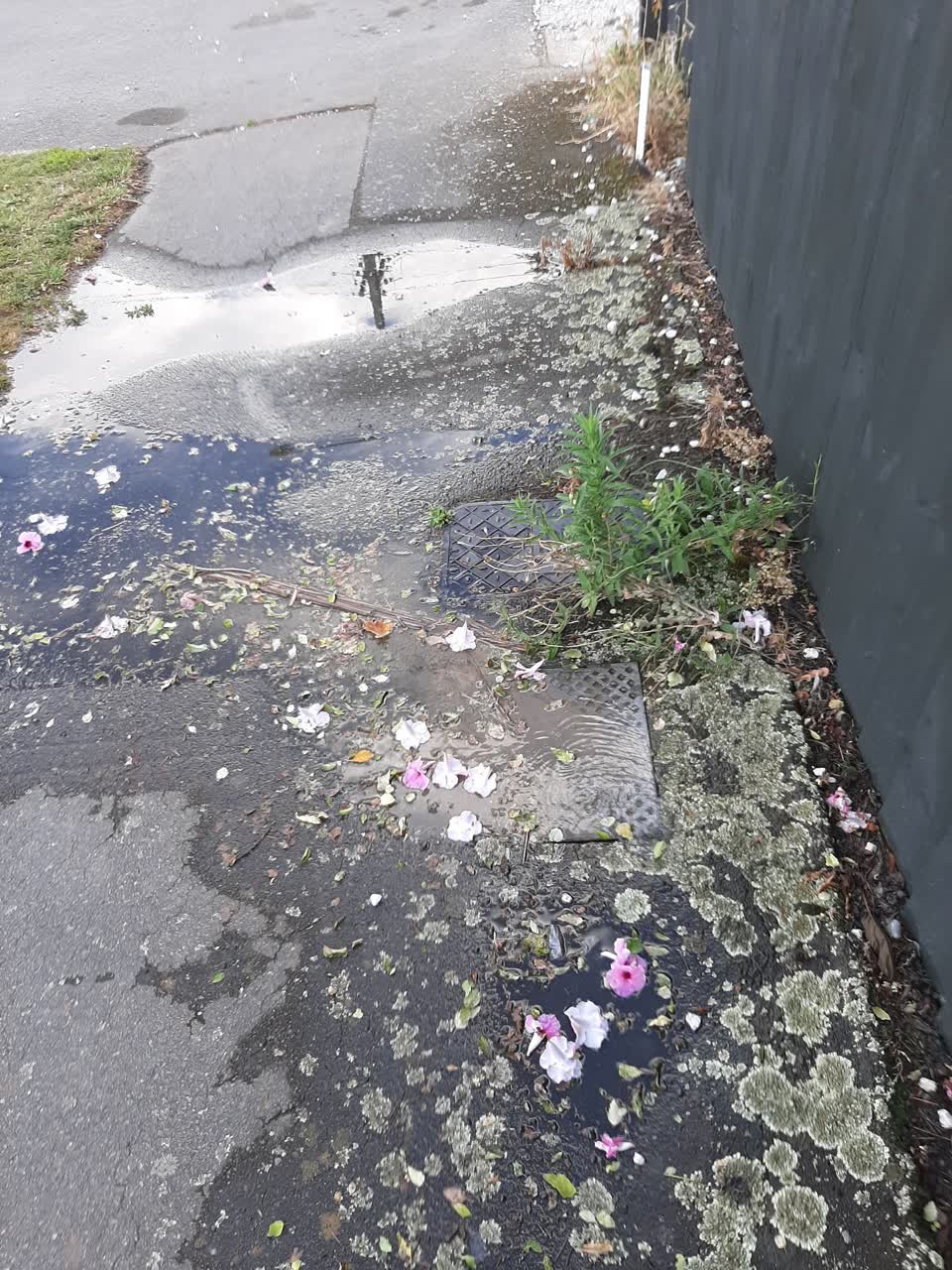 The photograph attached to this water leak report