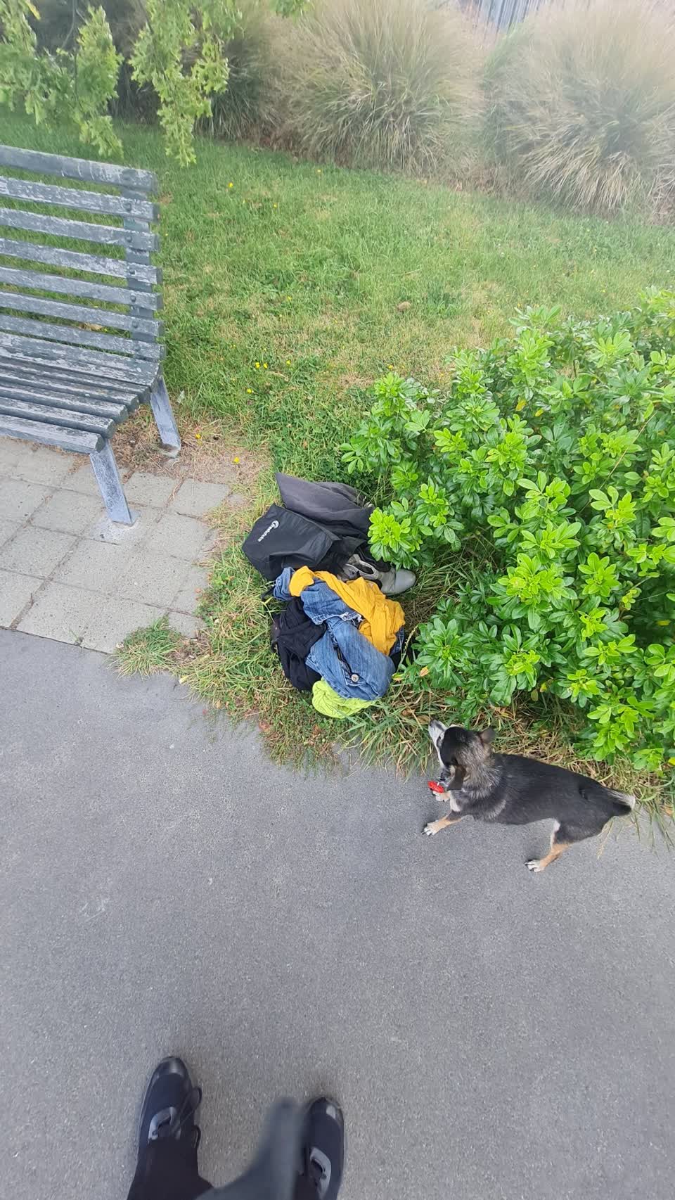 The photograph attached to this rubbish/recycling report