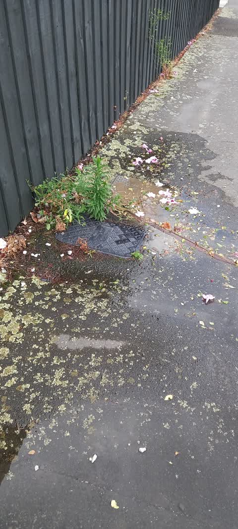 Water Leak, a report photo