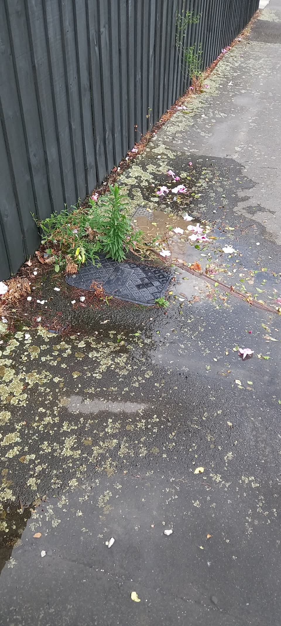 The photograph attached to this water leak report