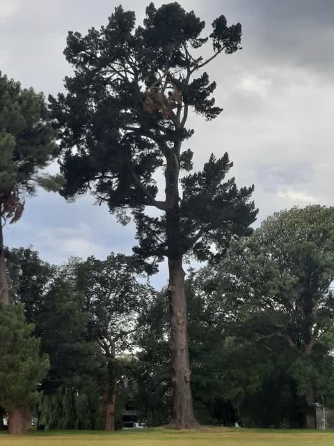 Parks, a report photo