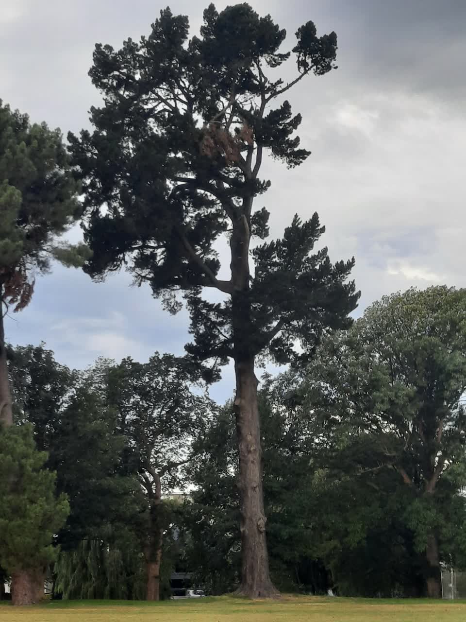 The photograph attached to this parks report