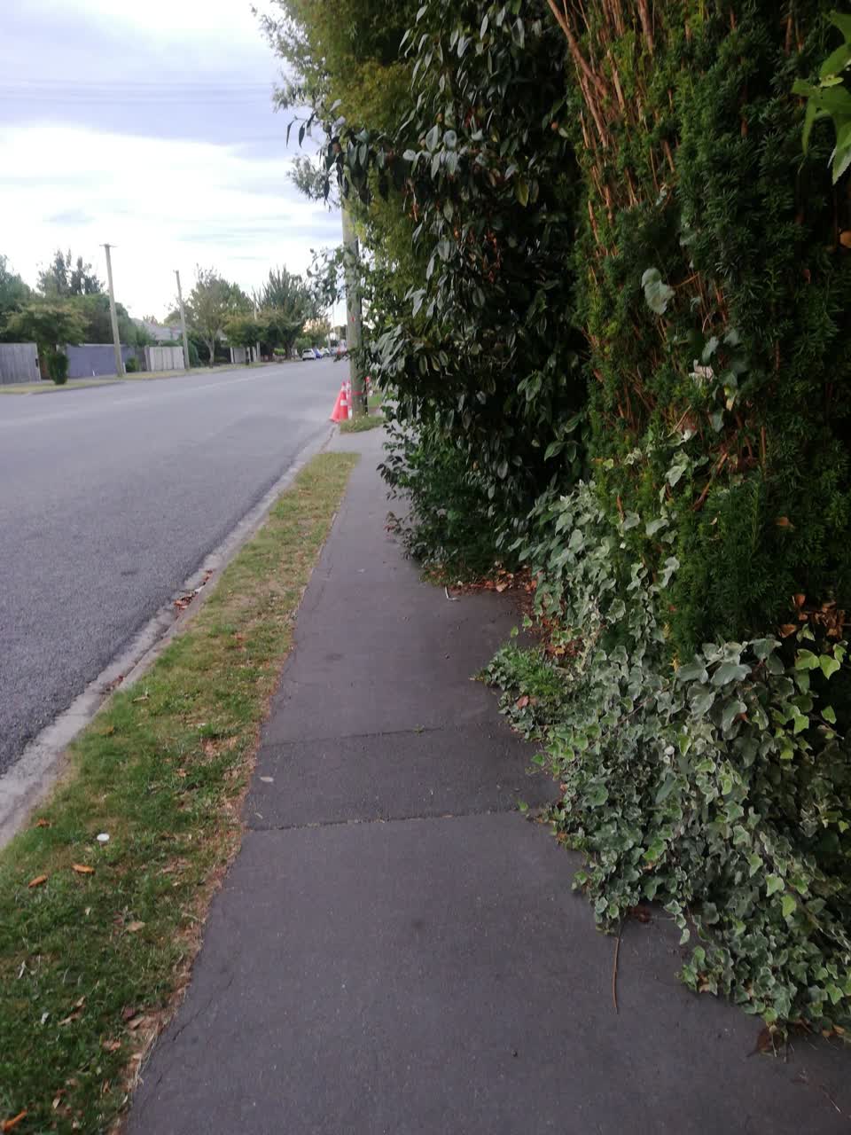 The photograph attached to this roading/streets report