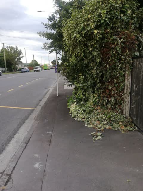 Roading/Streets, a report photo