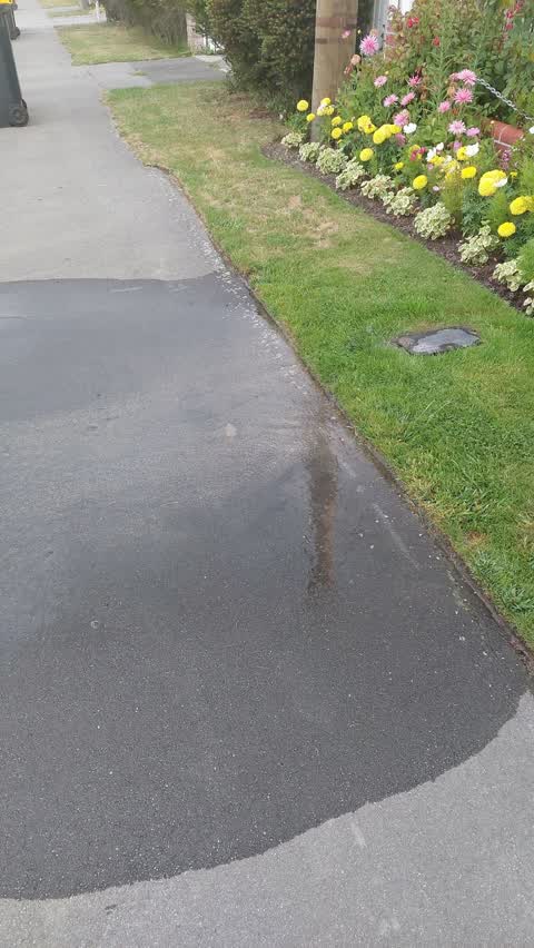 Water Leak, a report photo