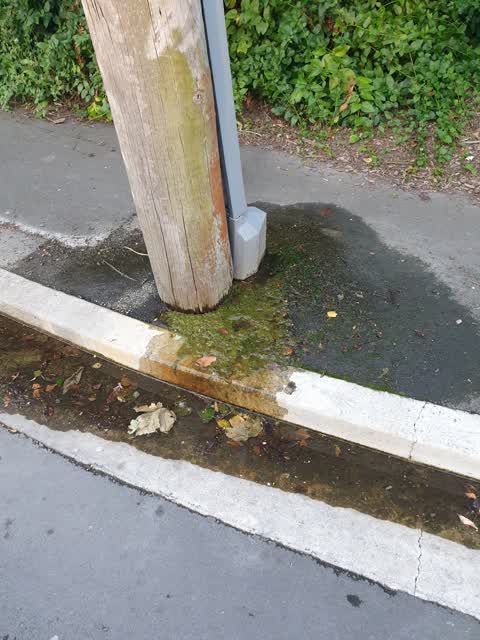 Water Leak, a report photo