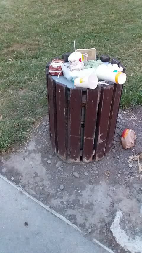 Rubbish/Recycling, a report photo