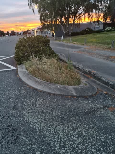 Roading/Streets — a report photo