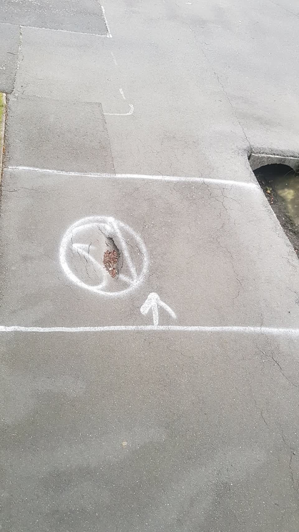 The photograph attached to this roading/streets report