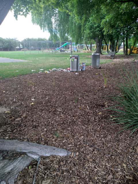 Rubbish/Recycling, a report photo
