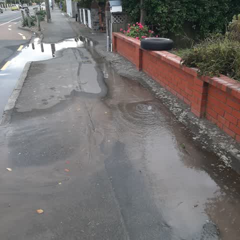 Water Leak, a report photo