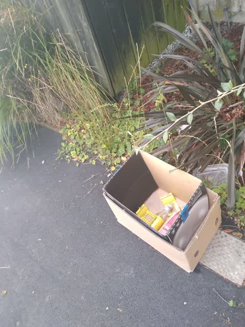 Rubbish/Recycling, a report photo