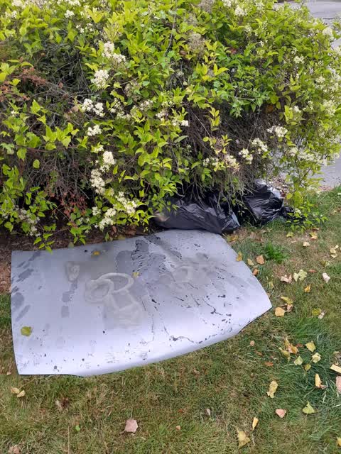 Rubbish/Recycling, a report photo