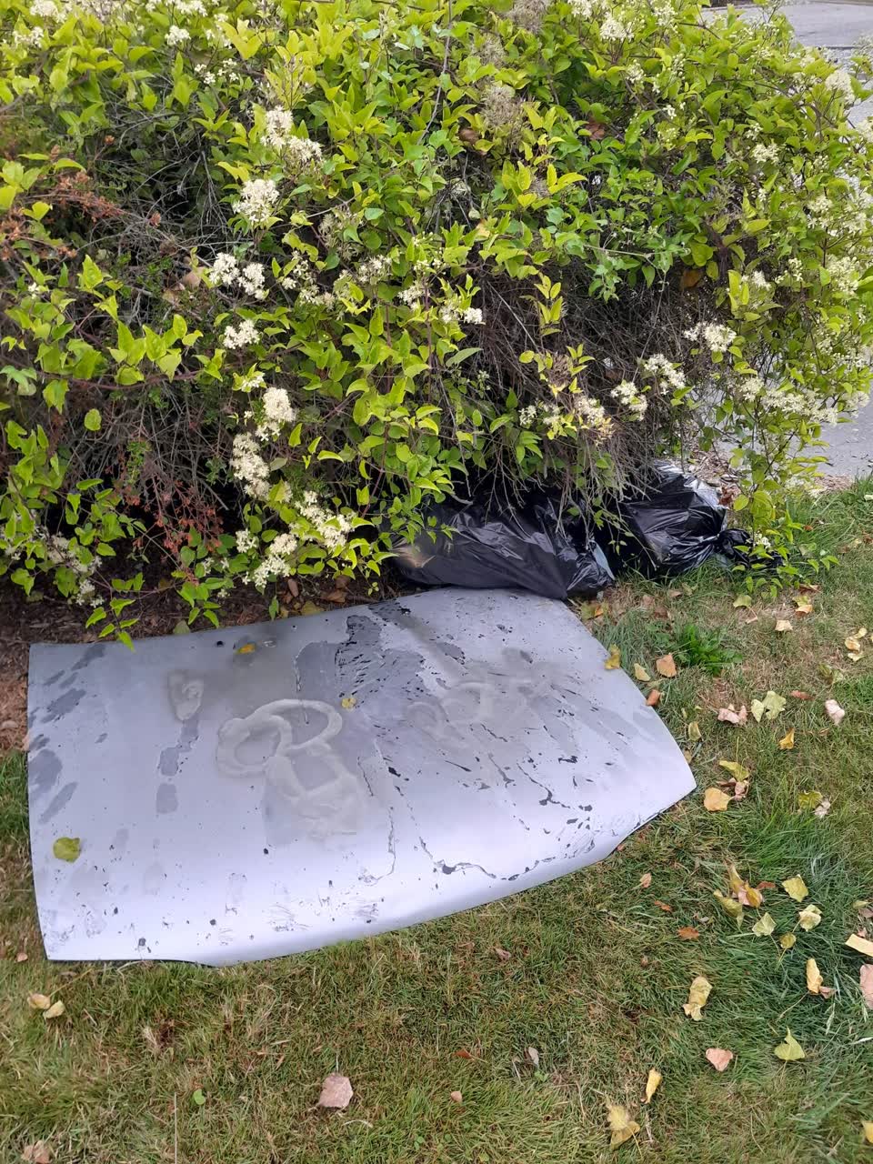 The photograph attached to this rubbish/recycling report