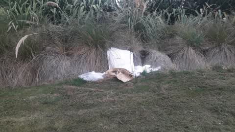 Parks, a report photo