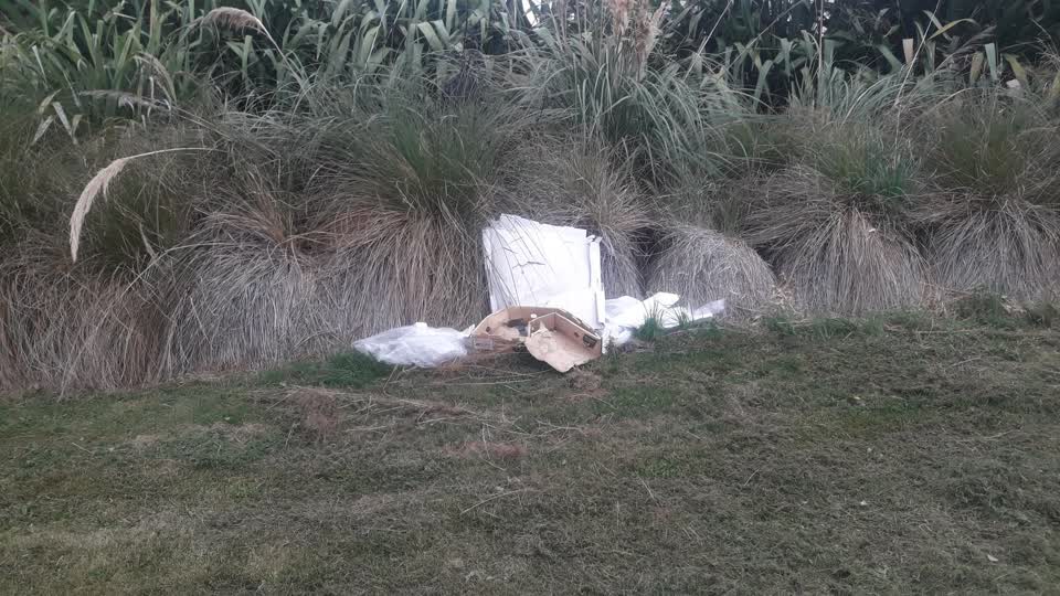 The photograph attached to this parks report